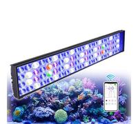 PopBloom Hertz54 WiFi Reef 60W para pecera de agua salada Coral SPS LPS, para 50-70cm (1x H54 luz con kit para colgar)