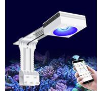 PopBloom RL90 WiFi Luces LED para acuarios marinos, Luces LED para peceras Acuarios de coral Acuarios marinos de sal Pantallas Acuario 40-70cm (RL90 Blanco)