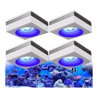 PopBloom RL90 WiFi luz led Acuario Marino, lampara Acuarios Pantalla led Acuario Coral, Luces para acuarios (4 lámparas con kit para colgar)
