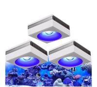 PopBloom RL90 WiFi luz led Acuario Marino, lampara Acuarios Pantalla led Acuario Coral, Luces para acuarios (3 lámparas con kit para colgar)