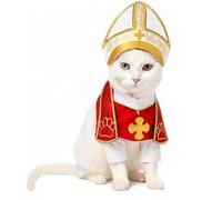 Pope Hat & Costume for Dogs & Cats - Cute Pet Pope Outfit with Elastic Comfort Fit - Perfect for Halloween, Parties & Festivals - Washable & Durable Small Pet Costume (M)