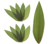 POPETPOP 100 Hojas Decorativas para Sushi y Sashimi, Hojas Grandes Tipo para Japonesa, Adorno Natural para Platos Fríos y Presentación de Comida Japonesa