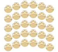 POPETPOP 100 Piezas de Placas de Acero Inoxidable para Armaduras Medievales Material para Manualidades de Recreación Histórica y Cosplay Placas Decorativas Resistentes para Disfraces