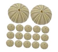 POPETPOP 18 Piezas Caparazón De Erizo De Mar Accesorio De Concha De Erizo Conchas De Erizo De Mar De Playa Conchas Erizas Adornos Conchas De Erizo De Mar Naturales Manualidades DIY Green