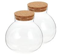 POPETPOP 2 Piezas Botella ecológica Micro Paisaje Tarro de Galletas hermético Globo Frío Botella de terrario Transparente Decoración de Interior Natural maceteros terrario de Plantas Vidrio