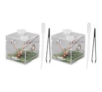 POPETPOP 2 unids araña terrario araña araña caja reptil terrario kit araña contenedor hábitat caja reptil