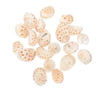 POPETPOP 40 Piezas Caparazones de Cangrejo Ermitaño de Caracola, Decoración Creativa de Caracolas, Concha Natural, Ornamentación Paisajística, para Acuario y Estanque, para Cangrejo