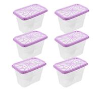 POPETPOP Caja Vacía para Absorbente de Humedad Reutilizable de Plástico Transparente 6 Unidades Tamaño Compacto Soporte Recargable para Armarios y Baños Deshumidificador Portátil para