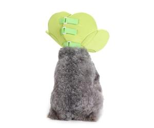 POPETPOP Collar Isabelino para Perro y Gato de Tela Verde, Ligero y Flexible Diseño Único de Cierre, Collar Circular Protector Seguro y Cómodo para Cachorros