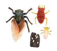 POPETPOP Conjunto de de Cicada de Simulación Ciclo de Crecimiento Educativo para Juguete Portátil y Herramienta de Enseñanza Escolar Decoración Realista y Didáctica