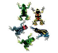 POPETPOP Decoración de Pared de Hierro Set de 5 Esculturas Colgantes Adecuado para Pasillos Jardín y Casa Diseño Animal Colorido y Resistente