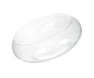 POPETPOP Maceta de Cristal Olla multifunción Olla Multifuncional decoración del Escritorio de Trabajo tazón de Burbujas de Vidrio decoración Retro Planta Maceta hidropónica pecera Loto