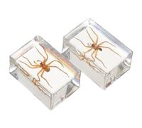 POPETPOP Pisapapeles de Insectos en Resina Transparente Diseño Artesanal de 2 Piezas para Decoración y Colección Científica Educativa