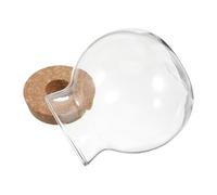 POPETPOP Tapa de Tanque de Vidrio para Recipiente Hidropónico para Plantas de Aire Suculentas Musgo de Helecho Adornos de Jarrones Redondos Rellenos