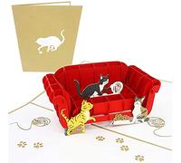 PopLife Cards Gatos que juegan en el sofá pop-up de tarjetas de felicitación