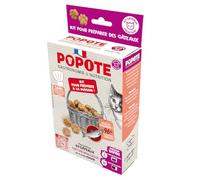 POPOTE - Golosinas para Gatos - Receta de Salmón - Ricas en Proteínas Animales - Alta Digestibilidad - Made in France - para cocinar en casa - 1 Bolsita de Preparación + 1 Dosette - 200 gr