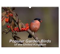 Popular garden birds of the united kingdom (Wall Calendar 2026 DIN A3 landscape), CALVENDO 12 Month Wall Calendar: Common birds found in your garden