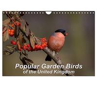 Popular garden birds of the united kingdom (Wall Calendar 2027 DIN A4 landscape), CALVENDO 12 Month Wall Calendar: Common birds found in your garden