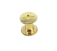 POQAX 10 remaches de acero de 5 mm de diámetro, con tapa redonda de 10 mm for álbumes de recortes.(Golden,5x10mm)