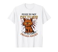 Por favor, no moleste el aprendizaje del examen escolar Camiseta