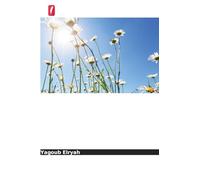 Por que o meu bolso está vazio? A crise inflacionária e a política fiscal do Sudão