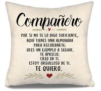Por si no te lo digo suficiente aquí tienes una almohada para recordarte Estoy orgulloso de ti Te quiero Recordatorio Funda de Cojín para Colegas Compañeros Cumpleaños Navidad Regalo de Agradecimiento