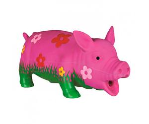 Porco Florido em Látex