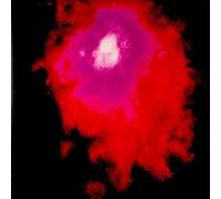 Porcupine Tree - Up the Downstair (2 LP)