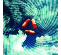 Porcupine Tree - Voyage 34