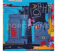Porcupine - What You'Ve Heard Isn'T Real
