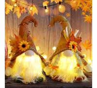 PORFOYO 2 Piezas Gnomos con Luz, Gnomos Navidad Gnomo Otoño Gnomo de Peluche para la Otoño Decoración de la Mesa del Hogar Thanksgiving Navidad