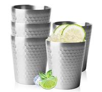 PORFOYO 5 Vasos de Acero Inoxidable, 300 ml, Apilables, Sin Asa, Doble Capa, para Cerveza, Zumo, Agua (Plateado)