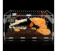 PORFOYO Caja De Alimentación De Insectos, 30*20*15cm, Caja De Cría De Reptiles con Higrómetro De Temperatura, Terrario de Acrílico para Reptiles