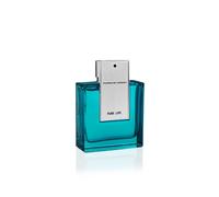 Porsche Design - Pure Life Perfumes 100 ml male