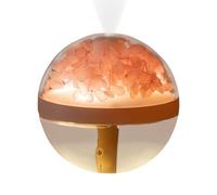 Portable Humidifier, Preserved Flower Design, USB Rechargeable Hydration, 270ml Water Capacity, Air Purifier & Mood Light, for Travel, Plants, Bedrooms, Living Room & Home Use, 4.72x4.72x4.49 Inches