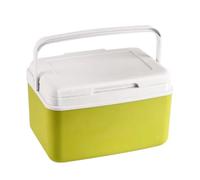 Portable Ice Cooler - Leakproof Storage Box, Large Capacity Delivery Carrier, Insulated Ice Pack Compatible, Easy Carry Handle | Outdoor Cooler Box, Ideal For Picnic BBQ Travel Beach Drinks Snack