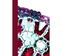 Portable Notebook | Dot Grid Paper: Soft cover | 200 pages | 4 x 6 inches