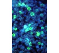 Portable Notebook | Dot Grid Paper: Soft cover | 200 pages | 4 x 6 inches