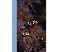 Portable Notebook | Dot Grid Paper: Soft cover | 200 pages | 4 x 6 inches