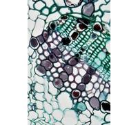 Portable Notebook | Dot Grid Paper: Soft cover | 200 pages | 4 x 6 inches