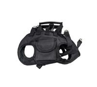 Portable Pet Travel Carrier, Heavy Duty Oxford Bag, Kitten Travel Tote, out