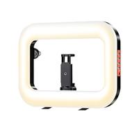 Portable Ring Light for Phone - 11.61 Inch Handheld LED Light | Type-C Rechargeable Video Recording Lamp with Phone Holder for Live Streaming, Travel Concert, Camping School and Office