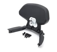 Portaequipajes para Moto para NSS 350 2023 Accesorios De Marco Asiento Motocicleta Pasajero Trasero Cojín Respaldo Almohadilla