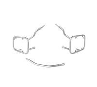 Portaequipajes para Motocicleta para BMW para F900XR F900 XR 2019 2020 2021 2022 Soporte Lateral para Equipaje De Motocicleta De Acero Inoxidable para Alforjas(Silver)