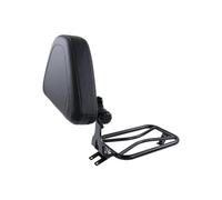 Portaequipajes para R18 Classic R 18 100 Años 2020 - Respaldo Conductor con Asiento Individual Portaequipajes Cojín Respaldo Conductor Portaequipajes Trasero(Style A Black)