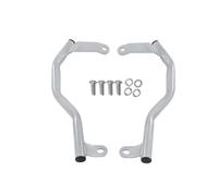 Portaequipajes Ride Pillion Accesorios para Motocicletas, Asideros para Pasajero Trasero, Reposabrazos, Portaequipajes para CFMOTO 450MT 450-MT 450 MT(Plata)