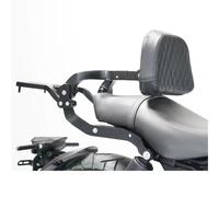 Portaequipajes Ride Pillion Respaldo Plegable Desmontable Motocicleta para ZONTES 125C C125 125 Portaequipajes Trasero Soporte Alforja Bolsa Viaje Gran Capacidad(Folding Backrest B)