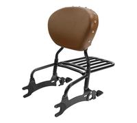 Portaequipajes Sissy Bar para Motocicleta con Respaldo para Pursuit Limited Premium 2024 Challenger Elite 2023 Vintage Dark Horse
