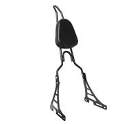Portaequipajes Trasero Moto Bastidores Traseros con Respaldo y Cojín para Motocicleta para Sportster XL 883 1200 2004-2020
