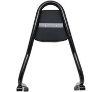 Portaequipajes Trasero para Motocicleta con asa de Agarre para Pasajero y Respaldo para BMW Portaequipajes Trasero para Moto(Negro)